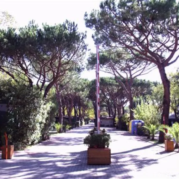 camping-dal-pino-marina-di-massa-hbwti