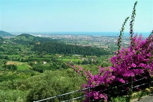 camping-dal-pino-marina-di-massa-hj49f