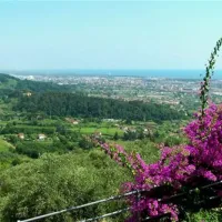 camping-dal-pino-marina-di-massa-hj49f