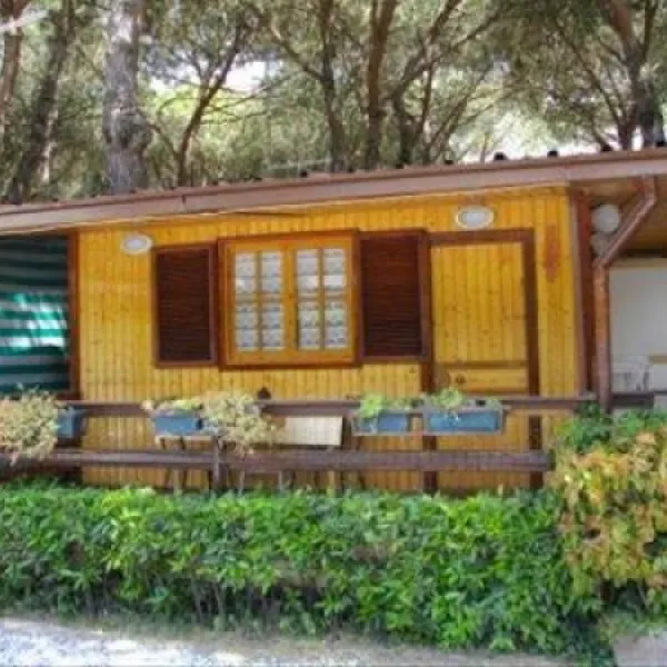 camping-dal-pino-marina-di-massa-u0nj2