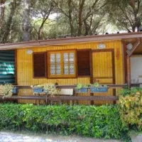camping-dal-pino-marina-di-massa-u0nj2
