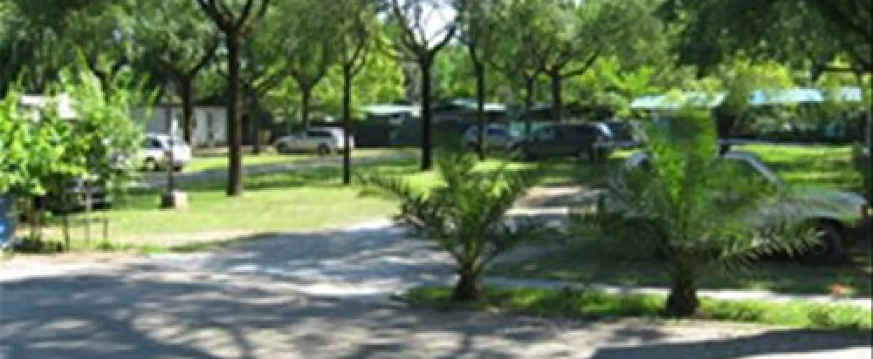 Camping Dal Pino