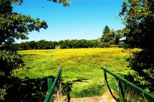 willowbrook-ballaghaderreen-z2elv