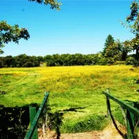 willowbrook-ballaghaderreen-z2elv