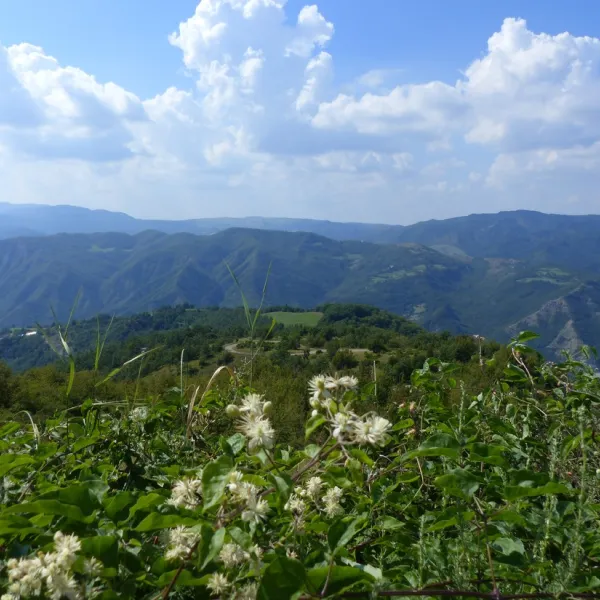 le-sorgenti-camping-relax-palazzuolo-sul-senio-cn0xc