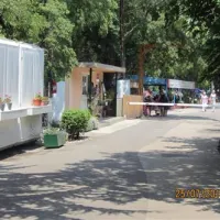 camping-preluk-rijeka-oqca9