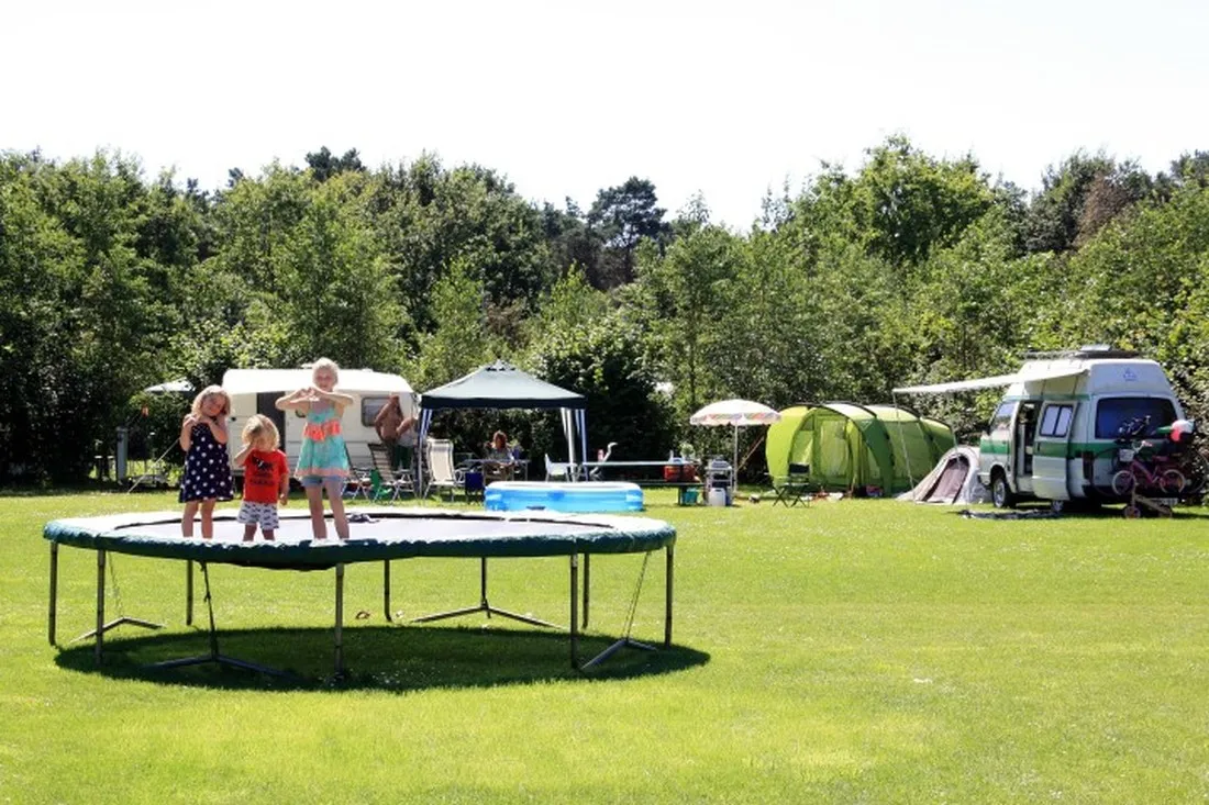 camping-de-bosrand-spier-dbai3