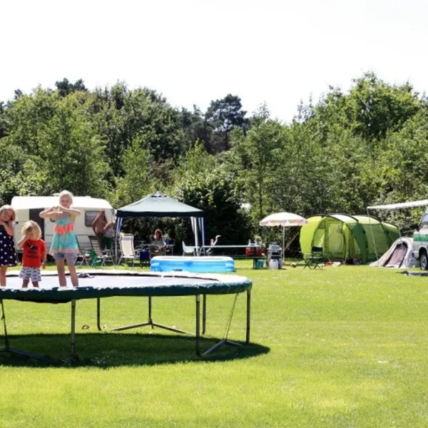 camping-de-bosrand-spier-dbai3
