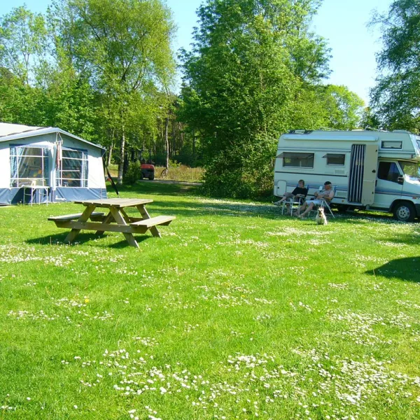 camping-de-bosrand-spier-lgfgc