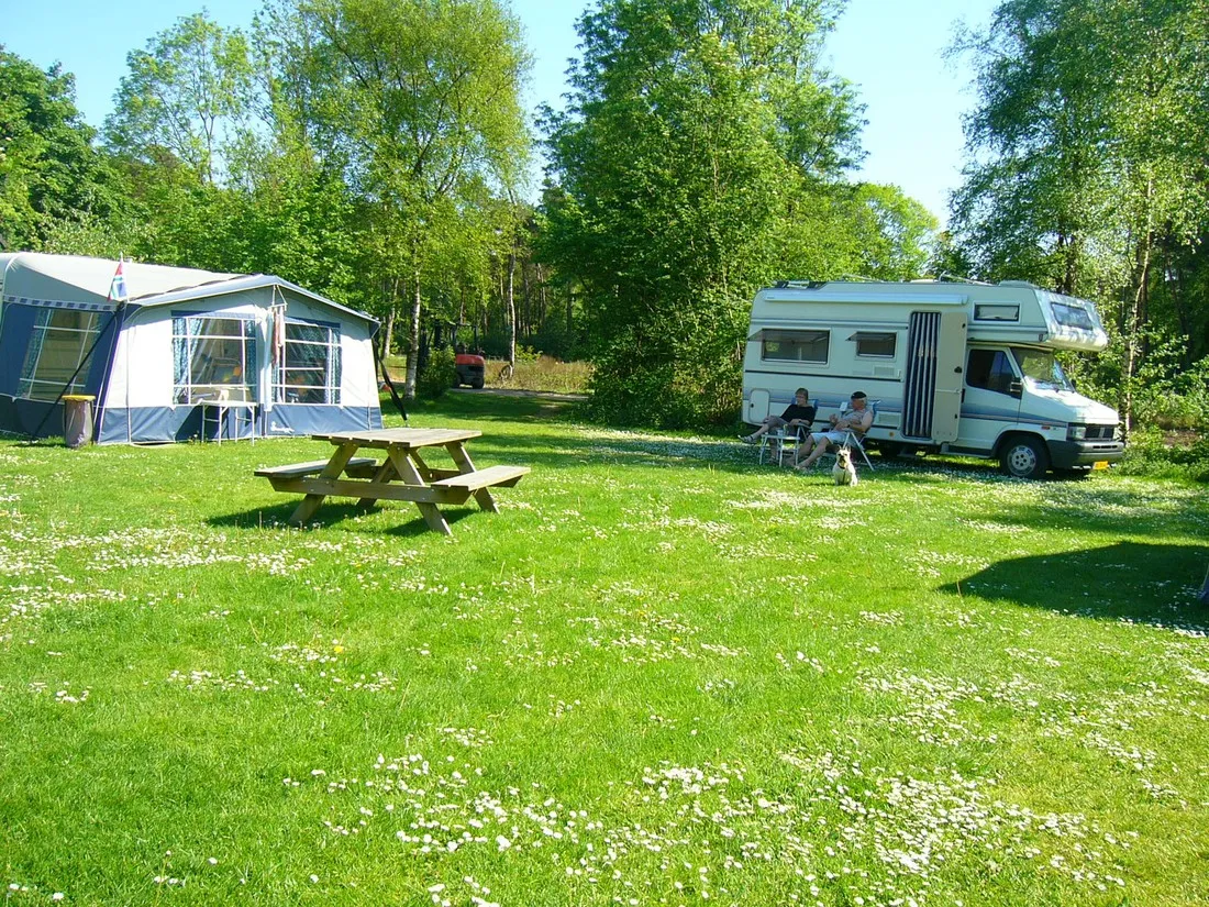 camping-de-bosrand-spier-pjxkk