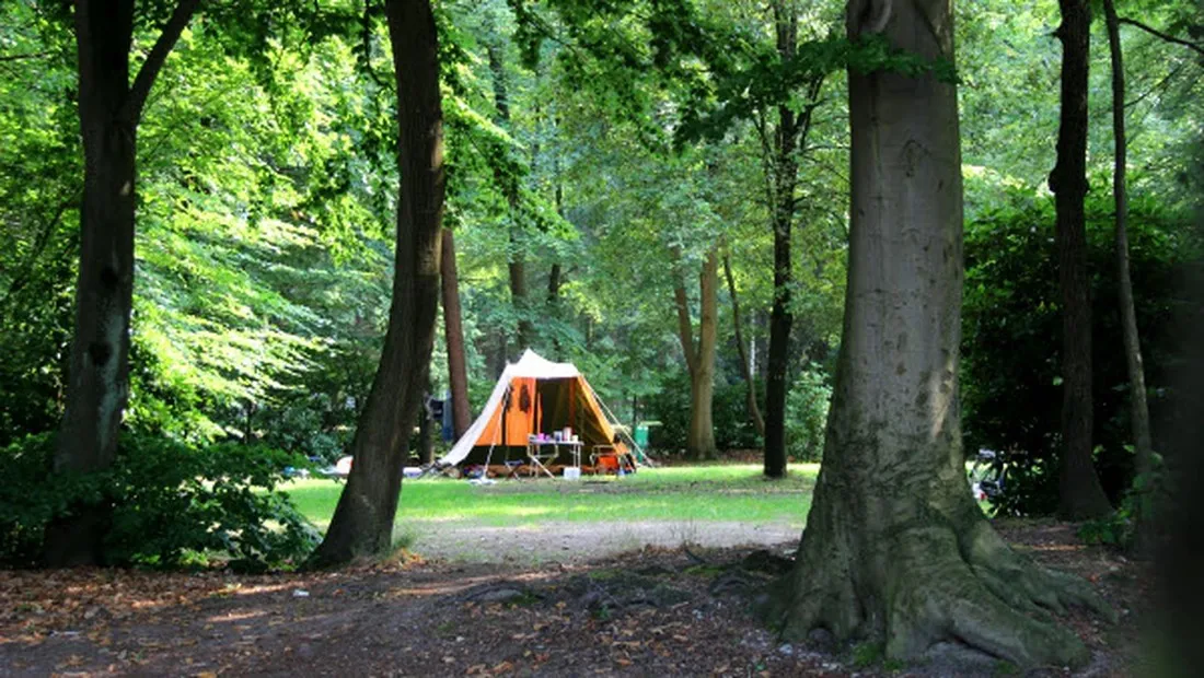 molecaten-park-bosbad-hoeven-hoeven-2u5vn