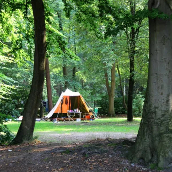 molecaten-park-bosbad-hoeven-hoeven-2u5vn