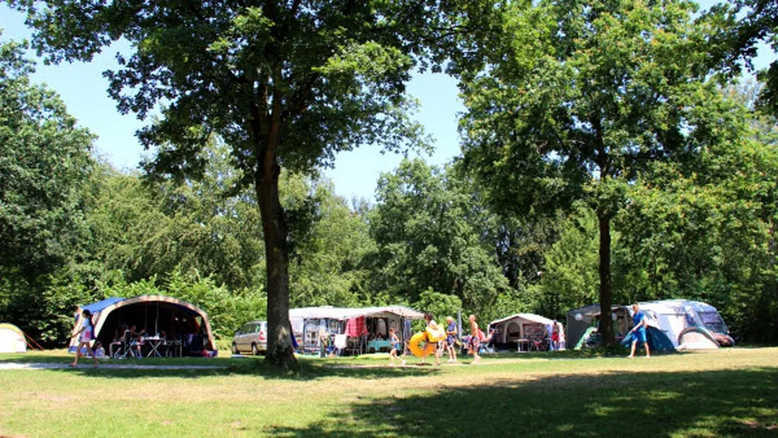 molecaten-park-bosbad-hoeven-hoeven-tyyy9