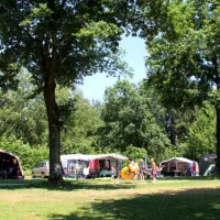 molecaten-park-bosbad-hoeven-hoeven-tyyy9