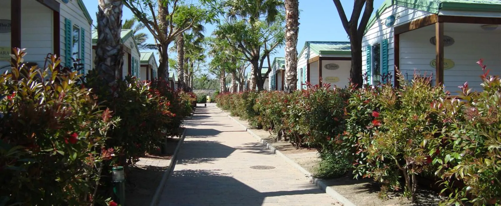 Camping Playa Cambrils-don Camilo