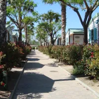 camping-playa-cambrilsdon-camilo-cambrils-rrrbv