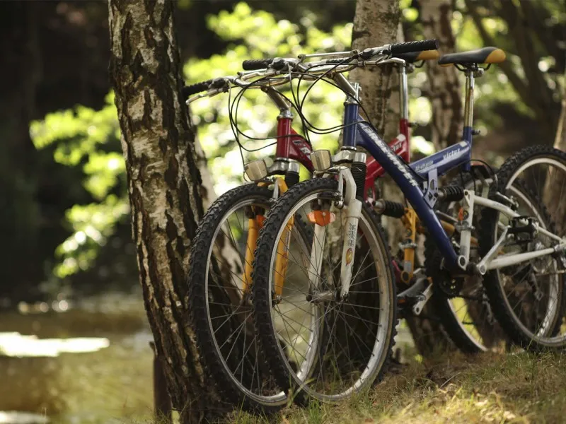 camp9-nature-campground-poland-tarnowskie-gry--repty-qkxjx