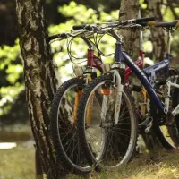 camp9-nature-campground-poland-tarnowskie-gry--repty-qkxjx