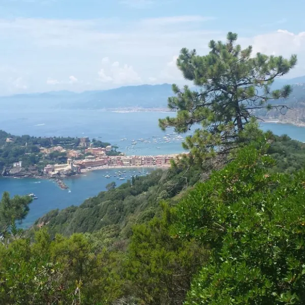 campeggio-fossa-lupara-sestri-levante-l1wnd