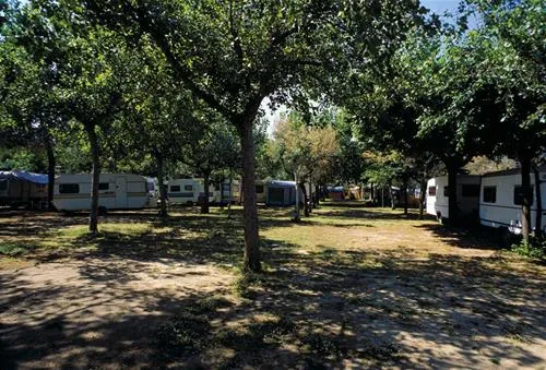 international--camping-torre-cerrano-pineto-oclmm