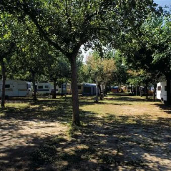 International  Camping Torre Cerrano