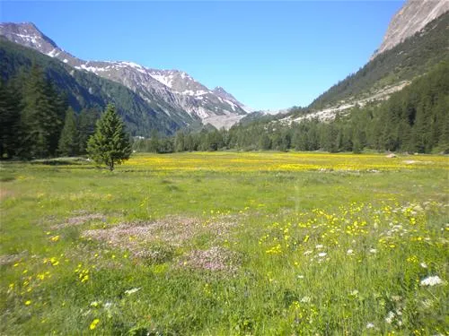 camping-monte-bianco-la-sorgente-courmayeur-eyjmx