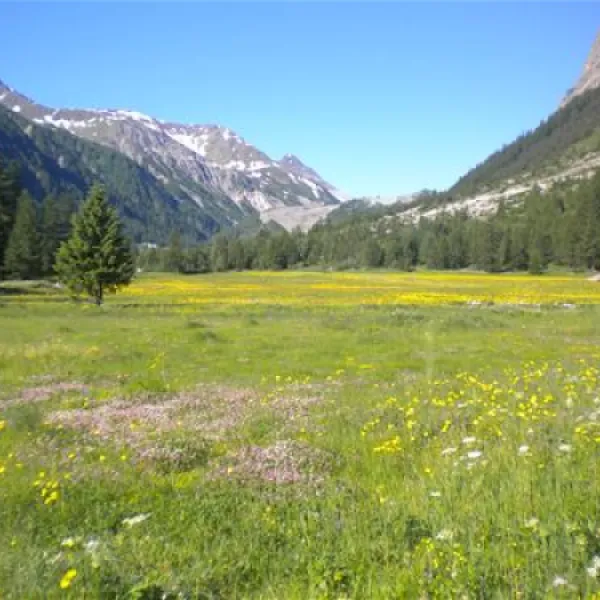 camping-monte-bianco-la-sorgente-courmayeur-eyjmx