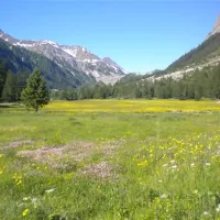camping-monte-bianco-la-sorgente-courmayeur-eyjmx