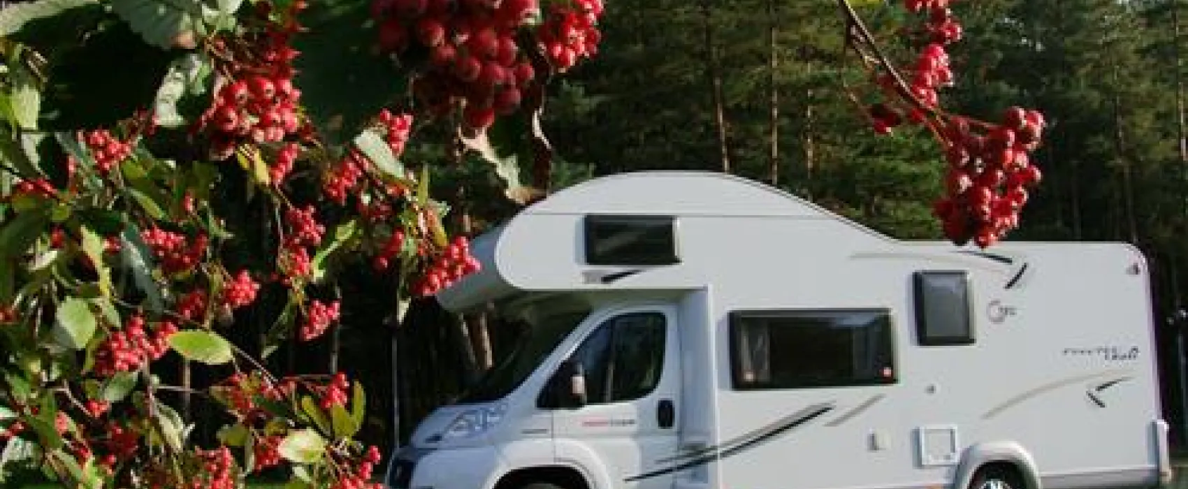 Camping Nida