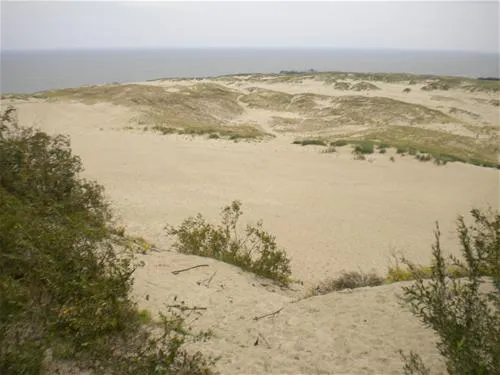 camping-nida-neringa-nida-i1q3g