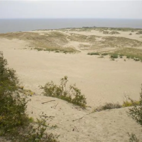 camping-nida-neringa-nida-i1q3g