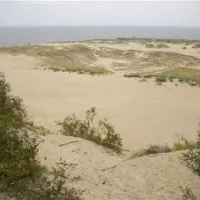 camping-nida-neringa-nida-i1q3g