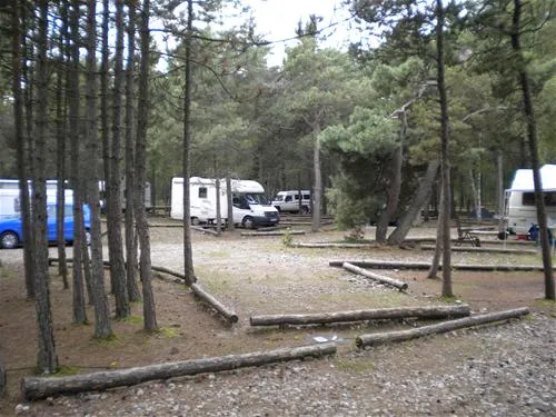 camping-nida-neringa-nida-lp14o
