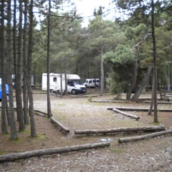 camping-nida-neringa-nida-lp14o