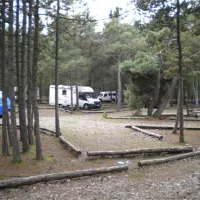 camping-nida-neringa-nida-lp14o