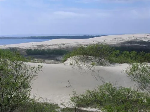 camping-nida-neringa-nida-uwydi