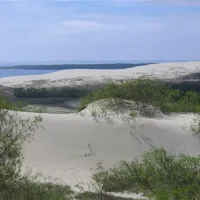 camping-nida-neringa-nida-uwydi