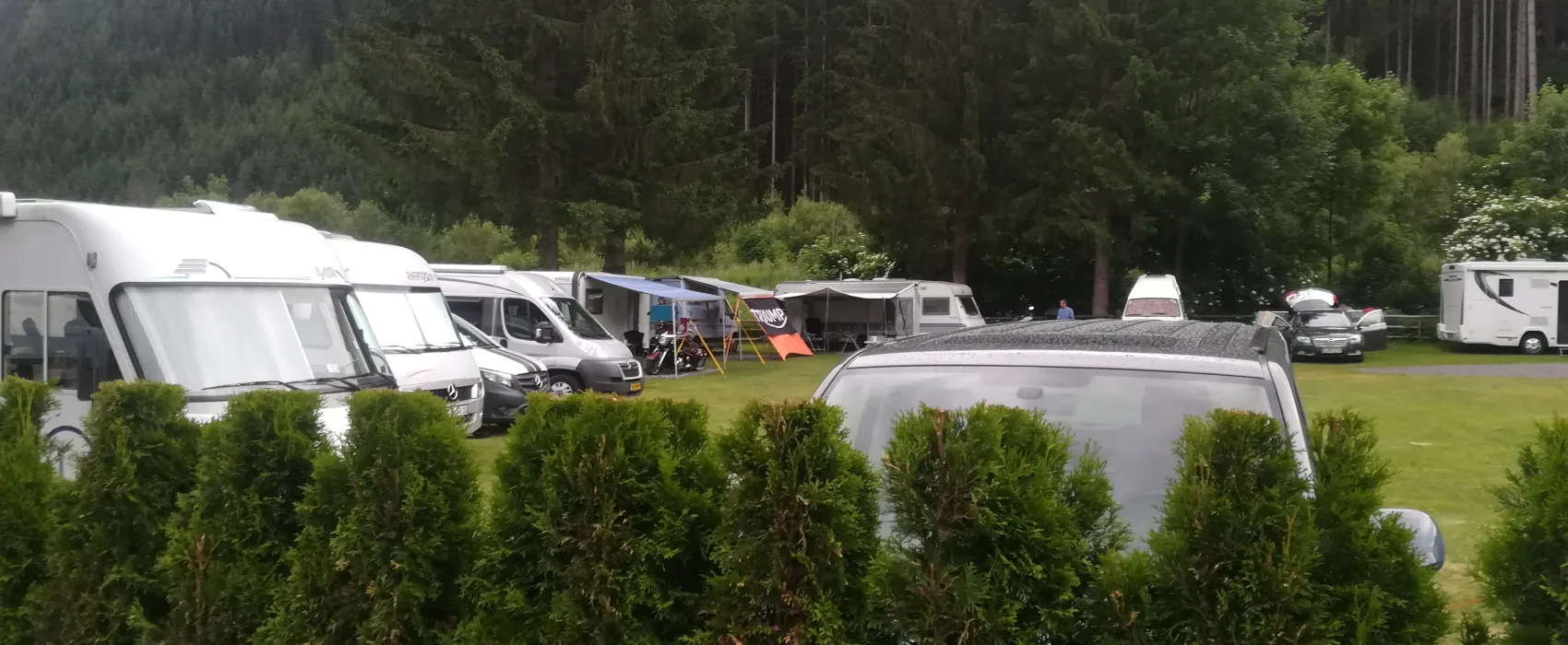 Camping Viktoria Wald im Pinzgau