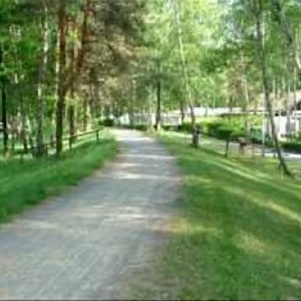 bungalowgarten-im-zeltplatz-koblenz-am-knappensee-lohsa-pxe53