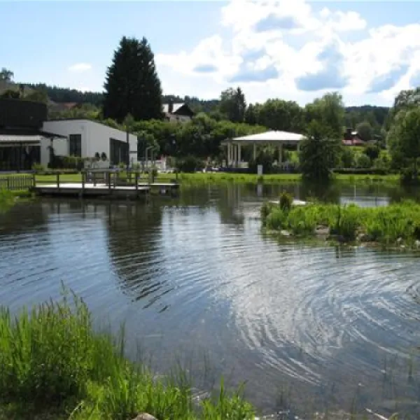 ferienpark-arber-zwiesel-t21dp