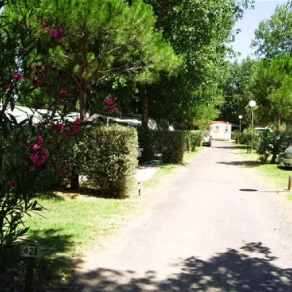 yelloh-village-aloha-serignanplage-hjp4p