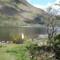 coedyllwyn-caravan-club-site-gellilydan-r6nxn