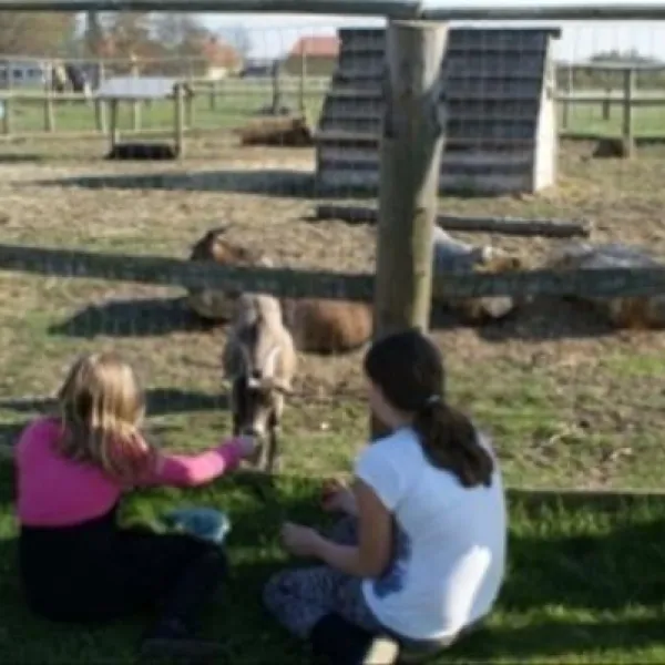 Stevns Camping