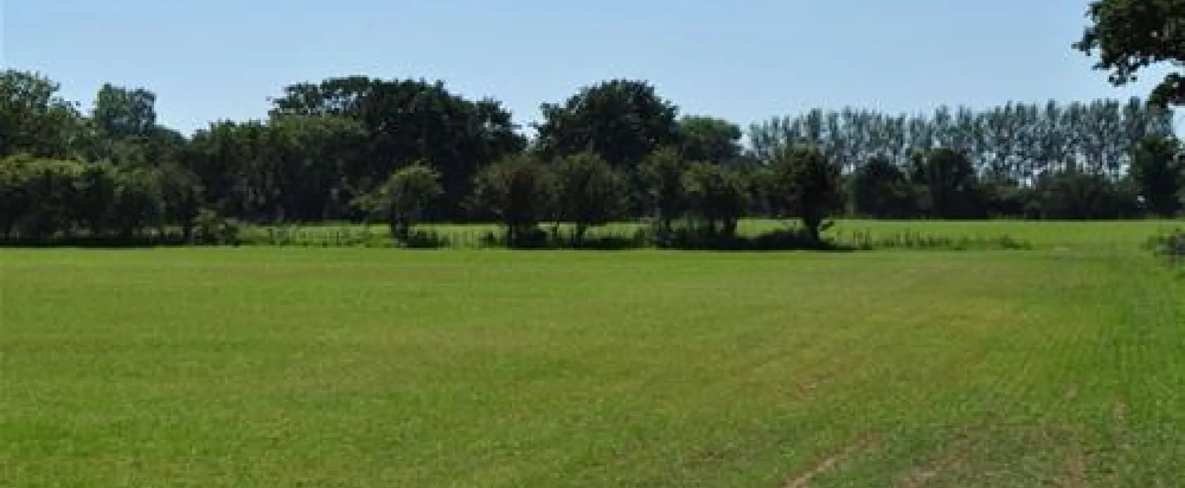 The Hollies Leisure Resort