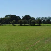 the-hollies-camping-leisure-resort-suffolk-quvso
