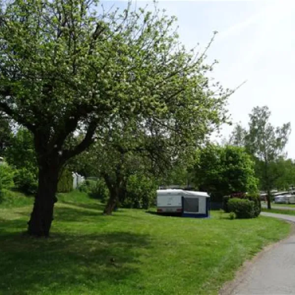 camping-spitzer-stein-grnberg-2731x