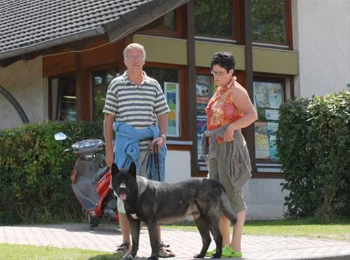 eifelcamp-freilinger-see-blankenheimfreilingen-2ktgs