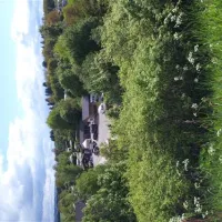 eifelcamp-freilinger-see-blankenheimfreilingen-hvjza