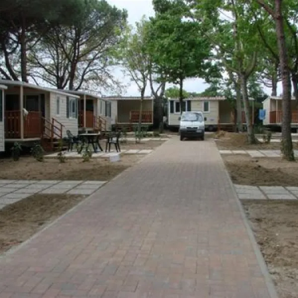 camping-badiaccia-castiglione-del-lago-y7oqu