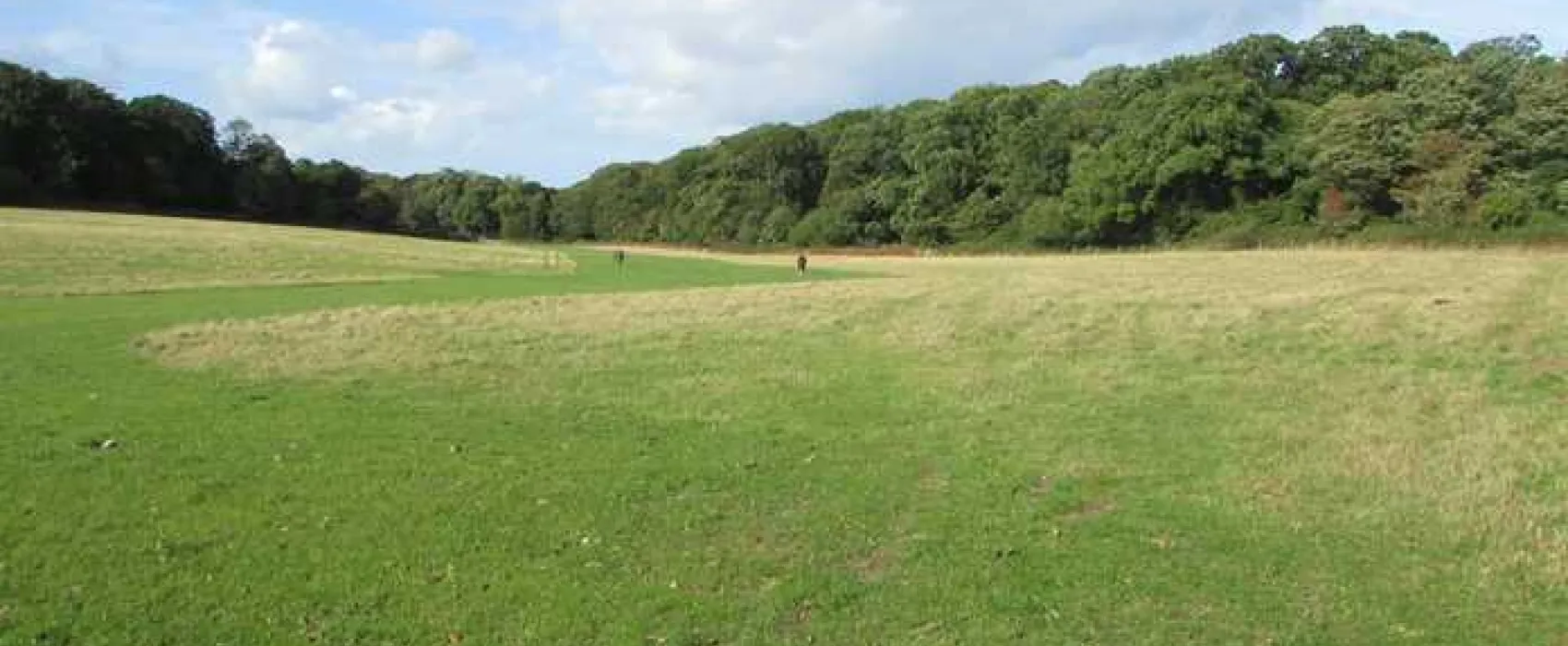 Cromer Camping